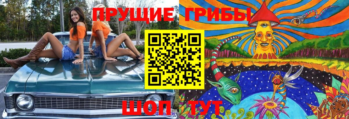 Галлюциногенные грибы Psilocybine cubensis Нижнекамск